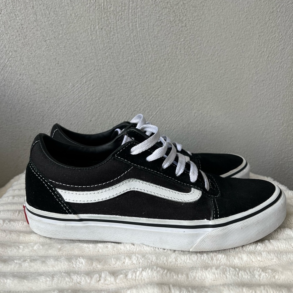 Vans Old School Skate Shoes